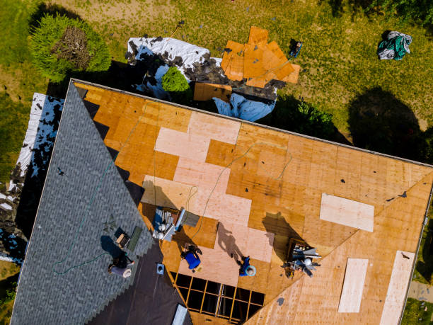 Best Roof Maintenance Services  in Harbour Heights, FL