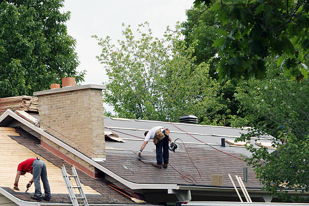 Best Storm Damage Roof Repair  in Harbour Heights, FL